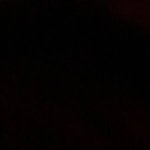 Meet your Posher, Frankie